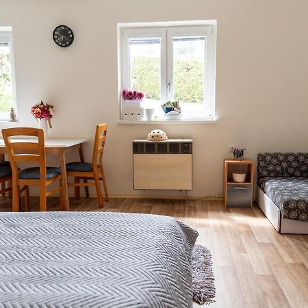 Apartament Apartman Fraise Decin Zewnętrze zdjęcie